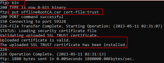 Imagen que muestra las partes relevantes de la salida de FTP