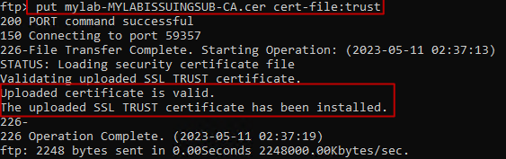 Imagen de FTP de archivo CER