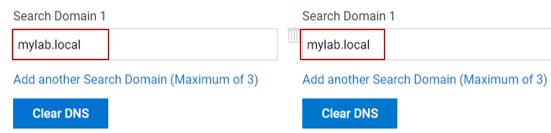 Imagen en la que se muestra dónde encontrar el dominio de DNS Search en la GUI