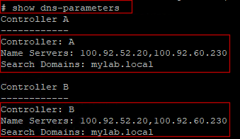 Imagen que destaca las partes relevantes de la salida show dns-parameters