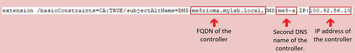 Imagen que resalta las secciones relevantes en la salida de basicContraints