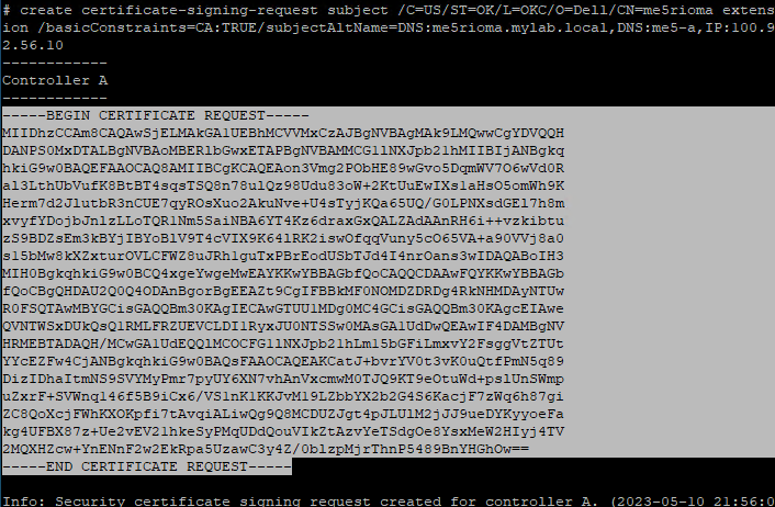 Imagen en la que se muestra la sección relevante del resultado que se debe copiar