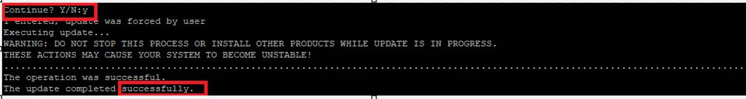update execution example