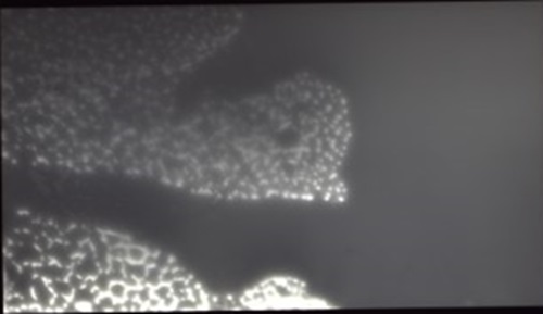 Déversement de liquide