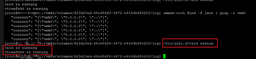 Kommandooutput fra esxcfg-vmknic -l
